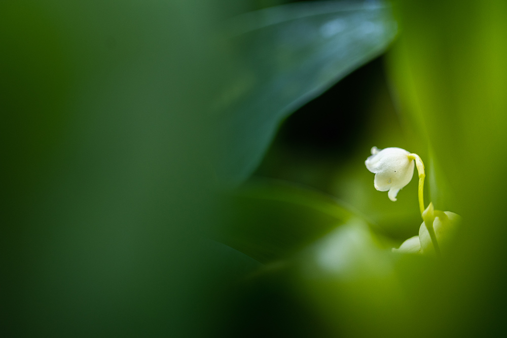 Platz 9 Conny Kleiner